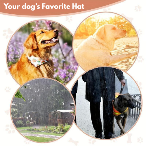 PawParade™ Stylish Dog Sun Hat