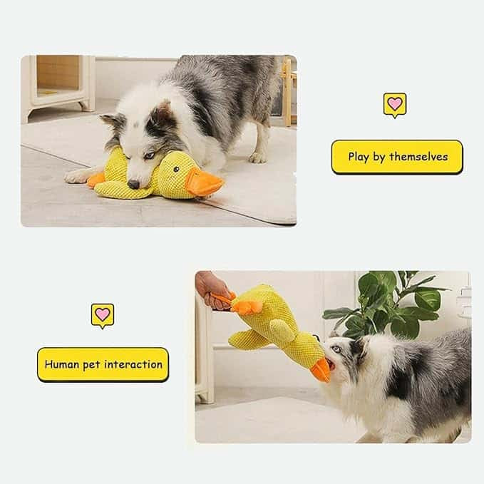 Calming Duck Toy