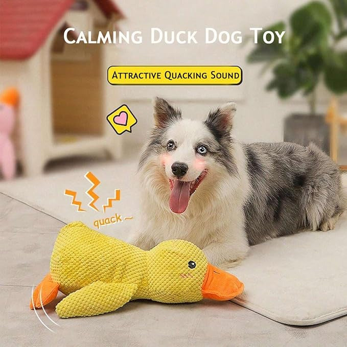 Calming Duck Toy