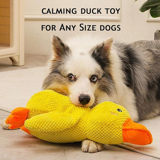 Calming Duck Toy